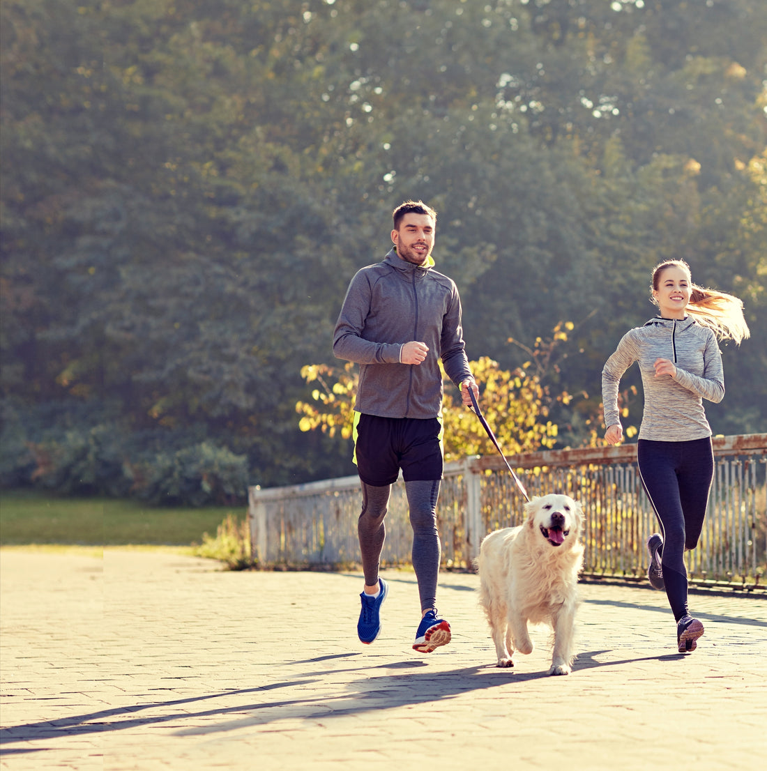 Cómo salir a correr con mi perro