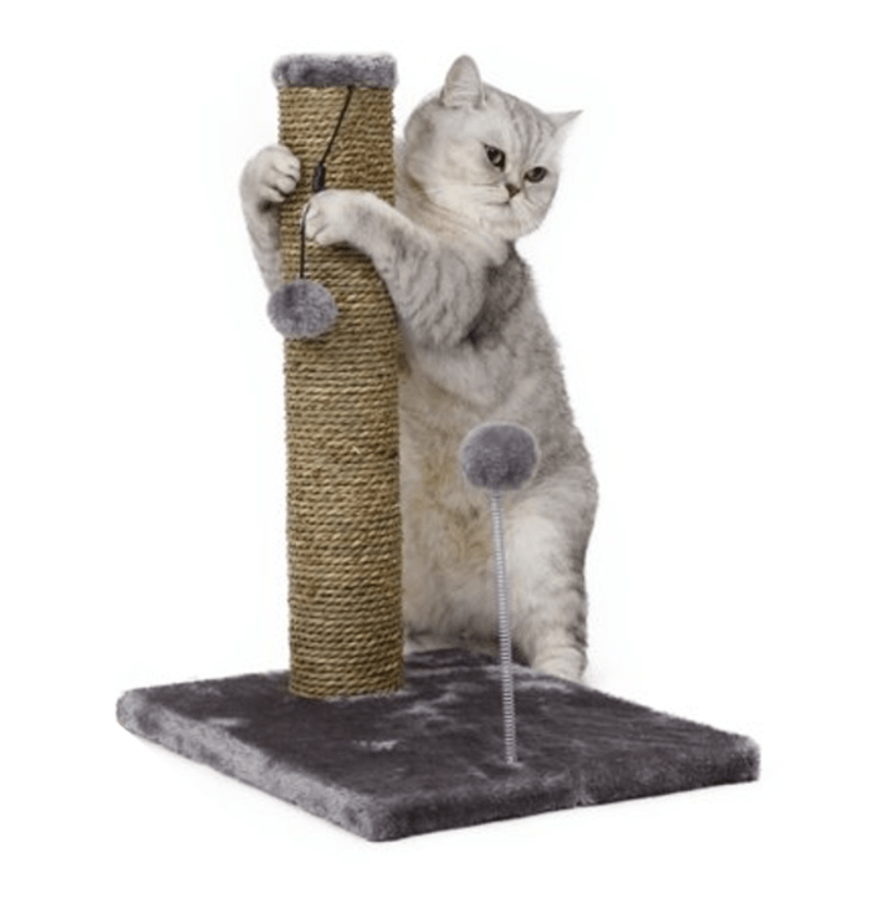 Suplidor US Toys One Size Rascador para Gatos con Juguete