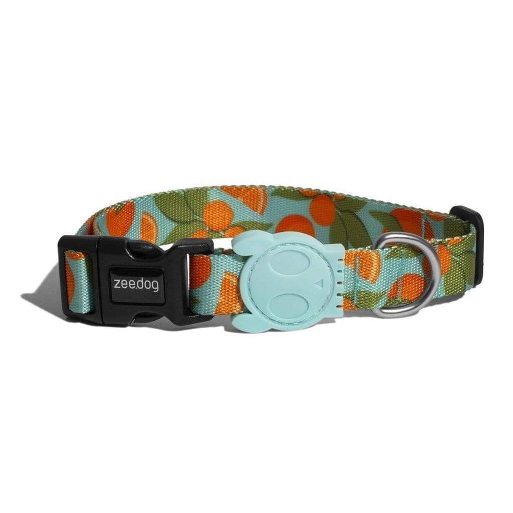ZeeDog Collars Collar para perros Florida