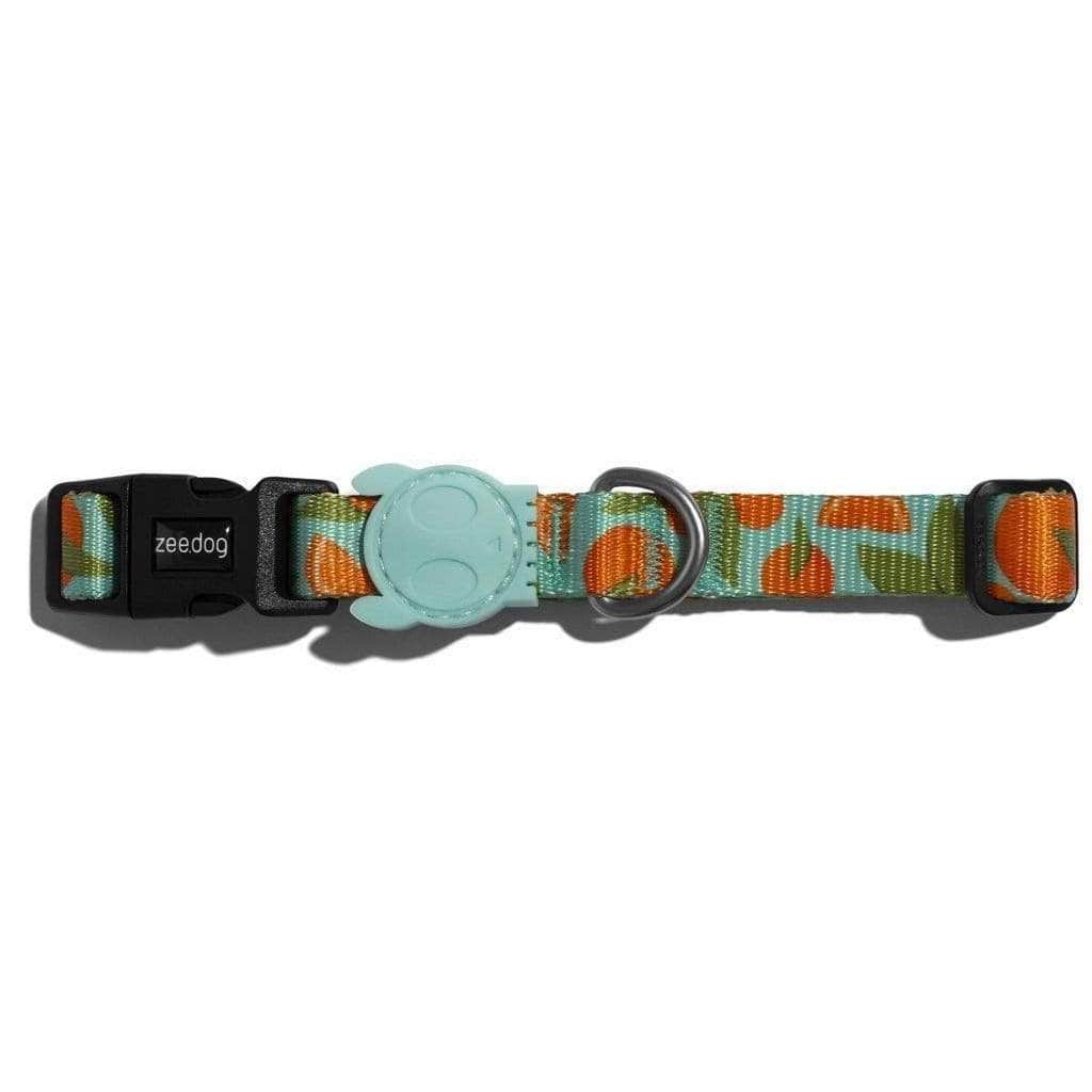 ZeeDog Collars Collar para perros Florida