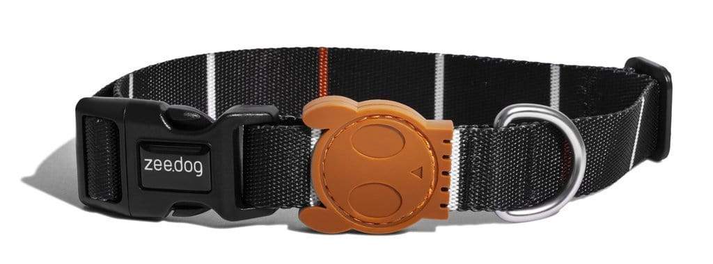 ZeeDog Collars Medium Collar para perros Patagonia