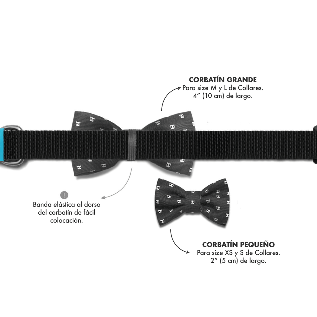 ZeeDog Fashion Accesories Small Bow-Tie Atlanta