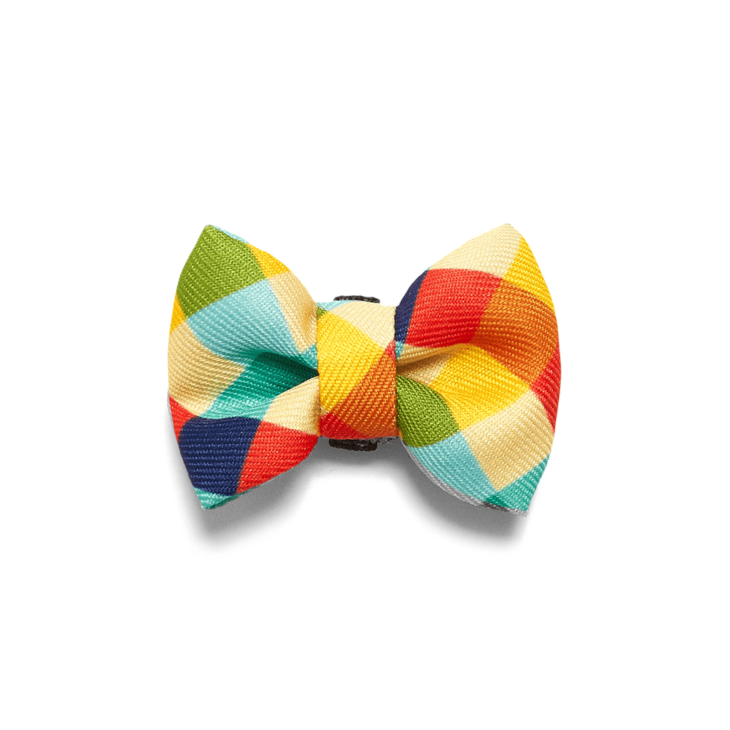 ZeeDog Fashion Accesories Small Bow-Tie Phantom