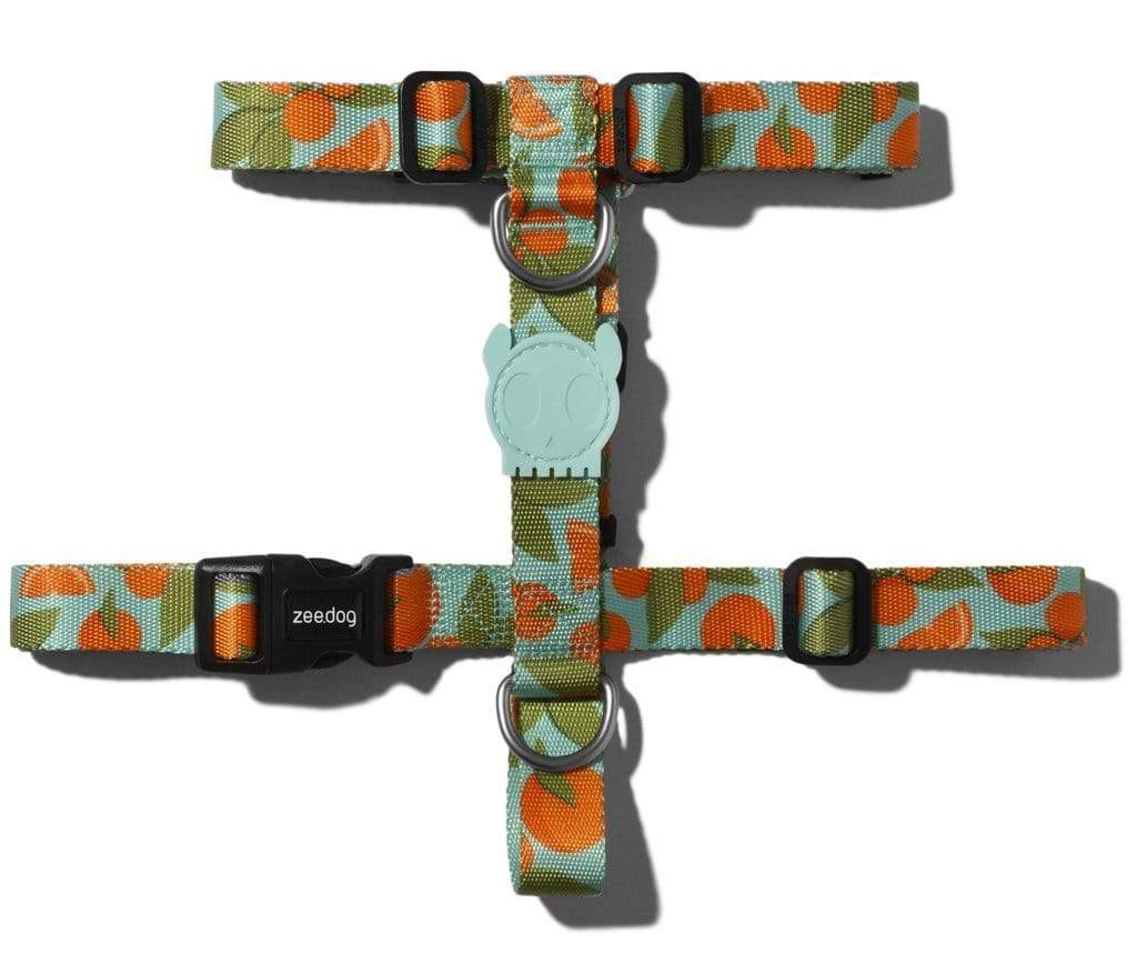 ZeeDog Harnesses Medium H-Harness para perros Florida