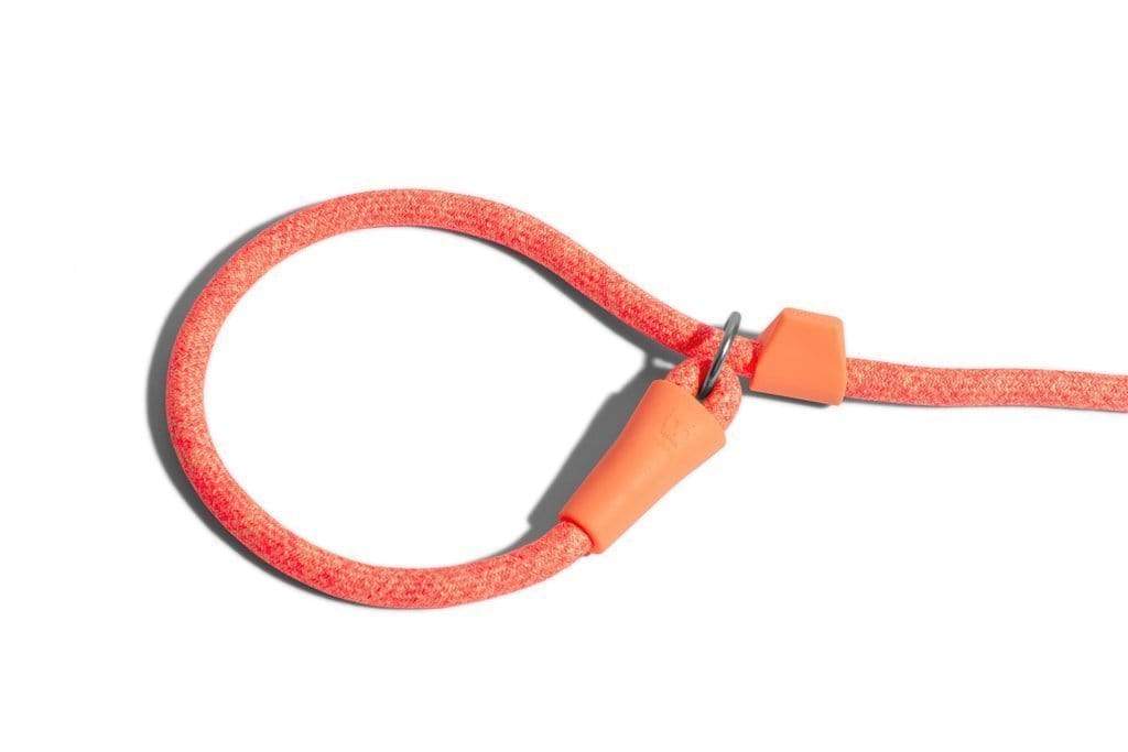 ZeeDog Leashes One Size Correa Slip-on para perros Pepper