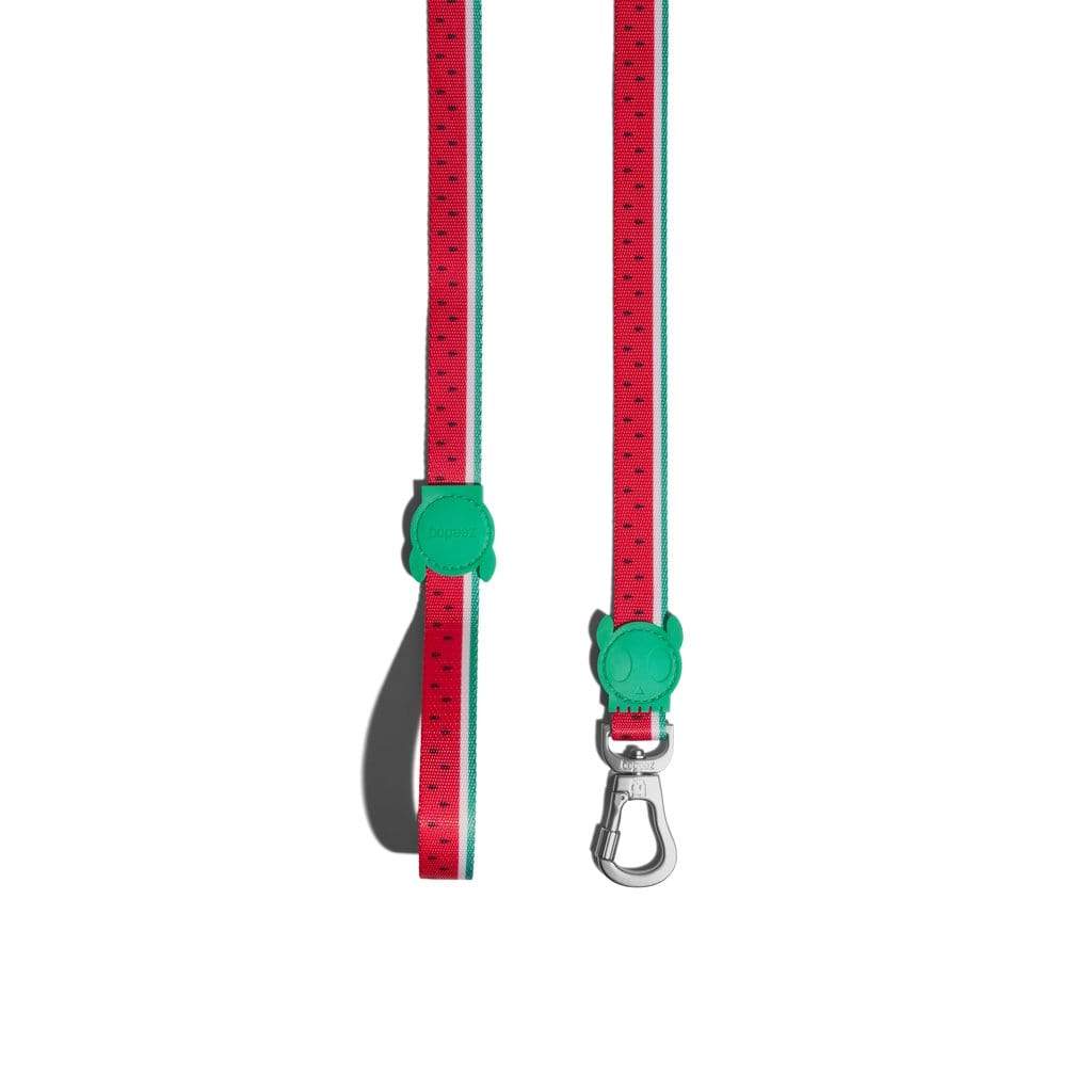 ZeeDog Leashes Correa para perros Lola