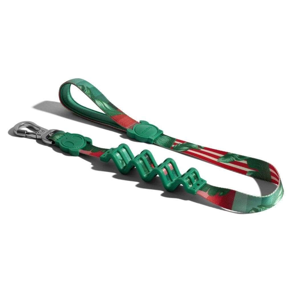 ZeeDog Ruff Leashes Small Correa "Ruff Leash" para perros Bali