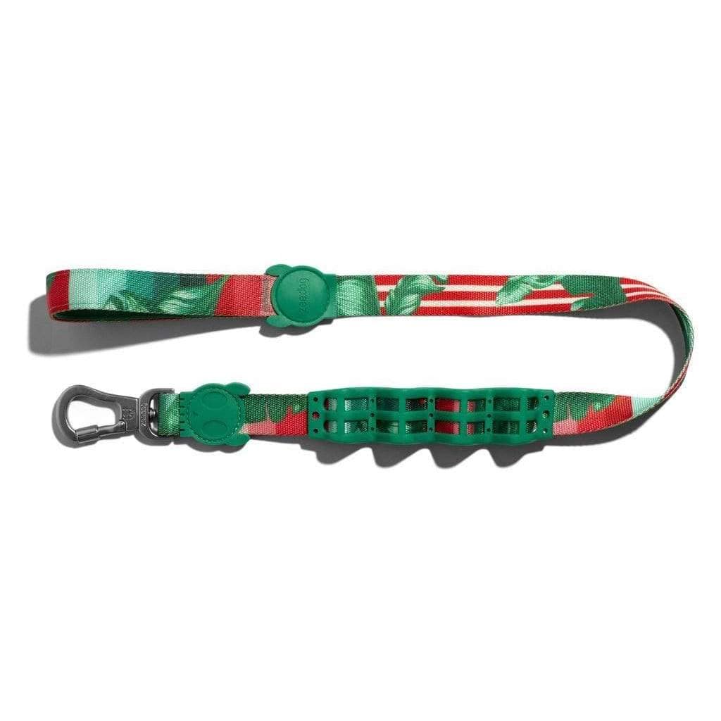 ZeeDog Ruff Leashes Small Correa "Ruff Leash" para perros Bali