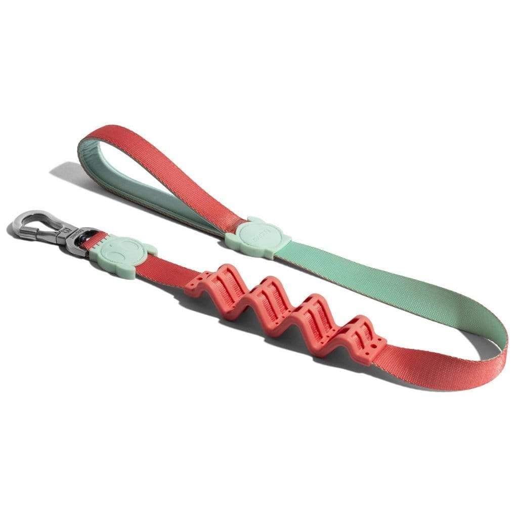 ZeeDog Ruff Leashes Large Correa "Ruff Leash" para perros Zahara