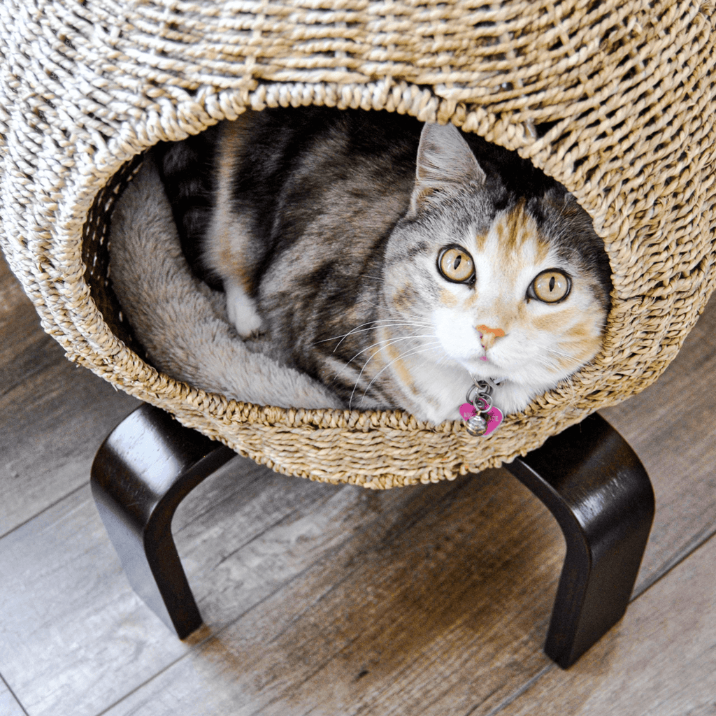 Sauder Pet Home Bed & Furniture Cat Nap Pod
