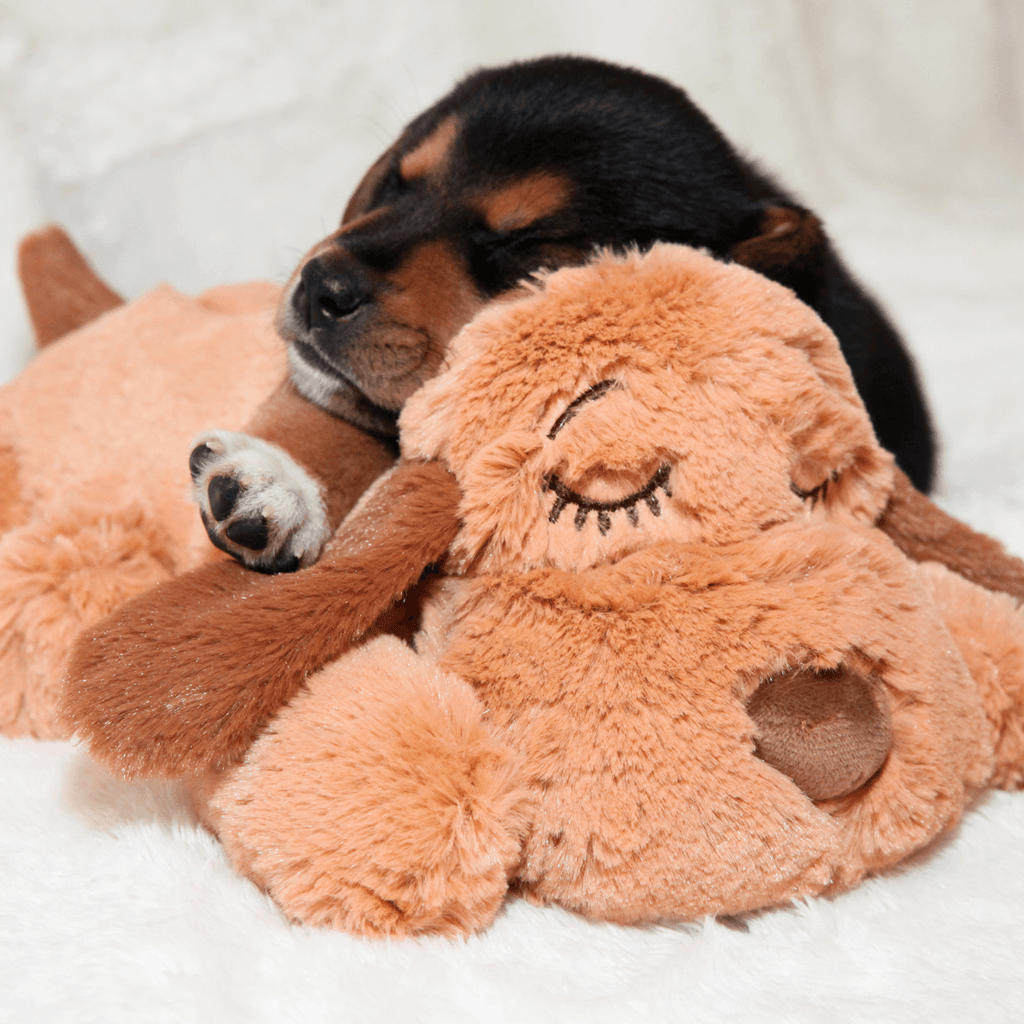 Smart Pet Love Toys Snuggle Puppy