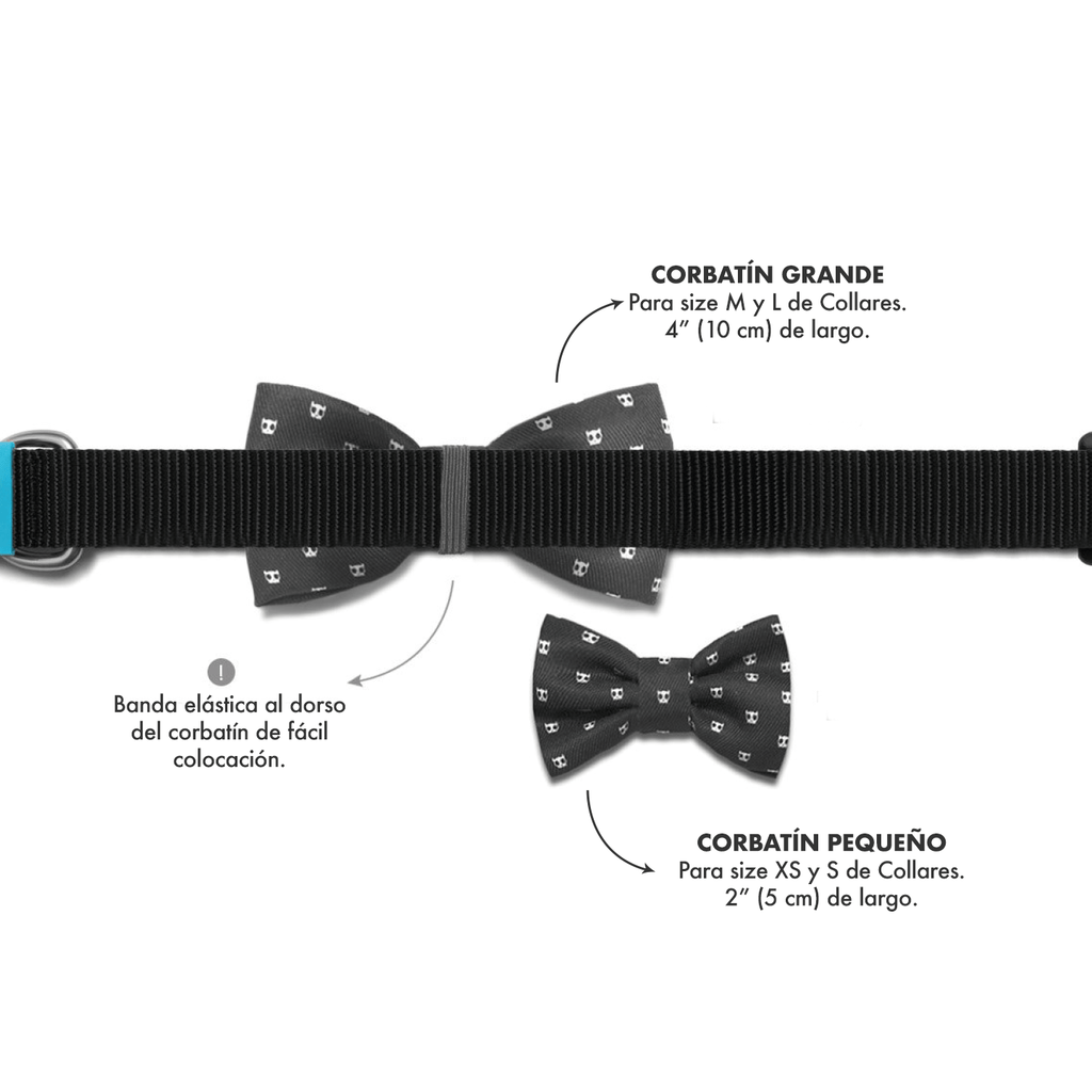 ZeeDog Fashion Accesories Large Bow-Tie Ella